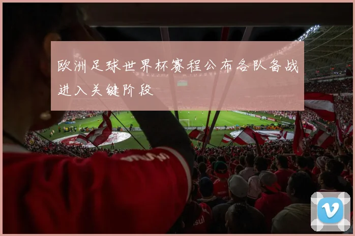 欧洲足球世界杯赛程公布各队备战进入关键阶段