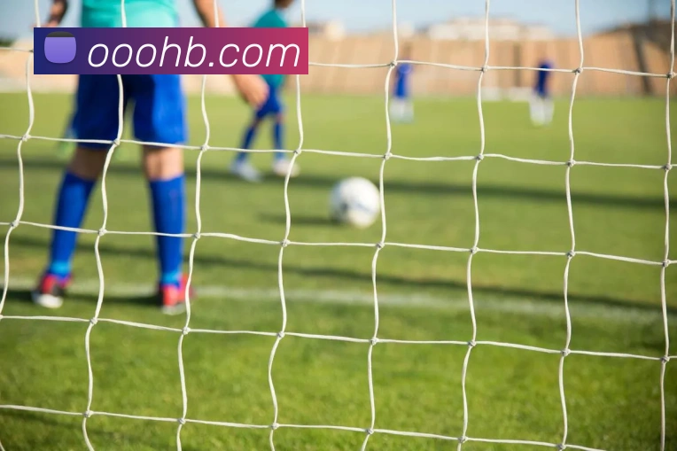 开云软件登录APP 体育赛事宣传图